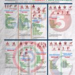 buhay-media-infographic_employment-status