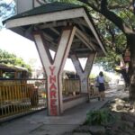 ynares