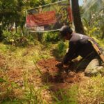 sinirangan2