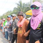 lapanday-picket2