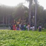 green-walk-03-copy