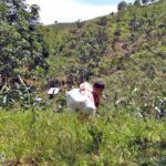lumad 01 copy