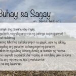 1101 sagay 04