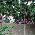 alamara 02