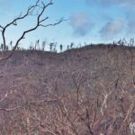 1114-catanduanes-15-copy