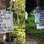 sacks-amihan-1