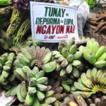 bagsakanoct17d