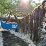 IMG_20250116_080704