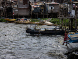 Women clam divers face declining harvests as revived expressway project advances